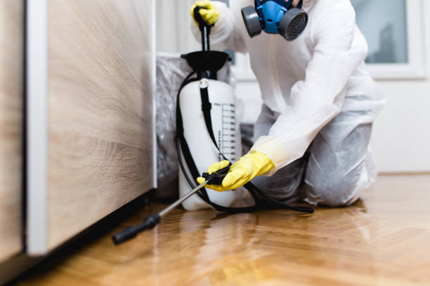 Trusted Maroa, IL Pest Control Experts
