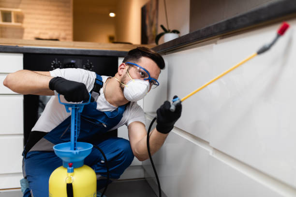 Best Pest Inspection Near Me  in Maroa, IL
