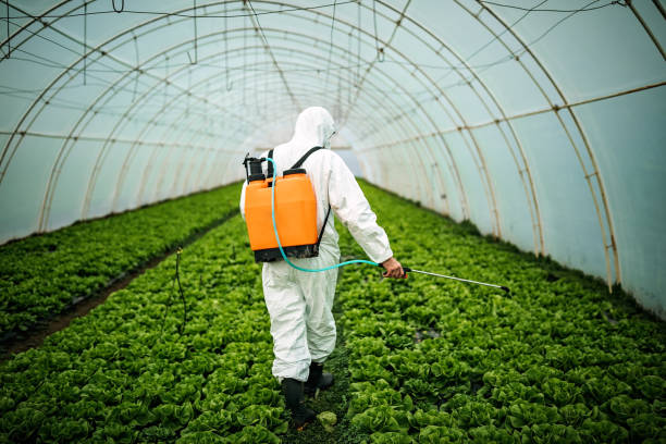 Best Best Pest Control Companies  in Maroa, IL