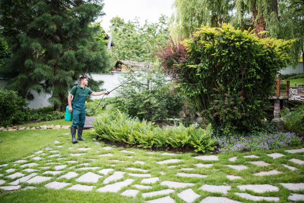 Professional Pest Control in Maroa, IL
