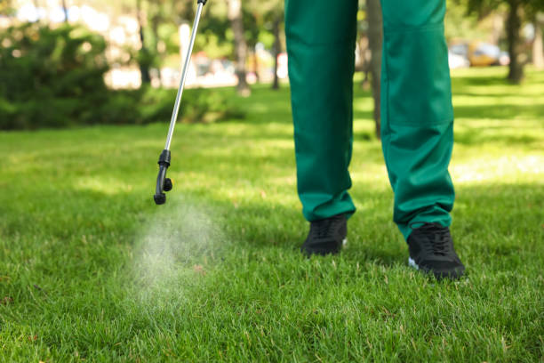 Best Exterminator Services  in Maroa, IL
