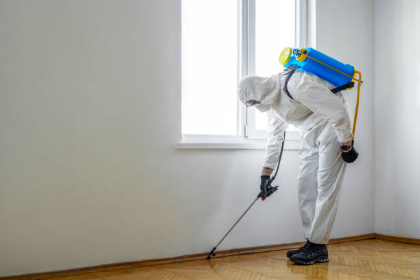 Best Best Pest Control Near Me  in Maroa, IL