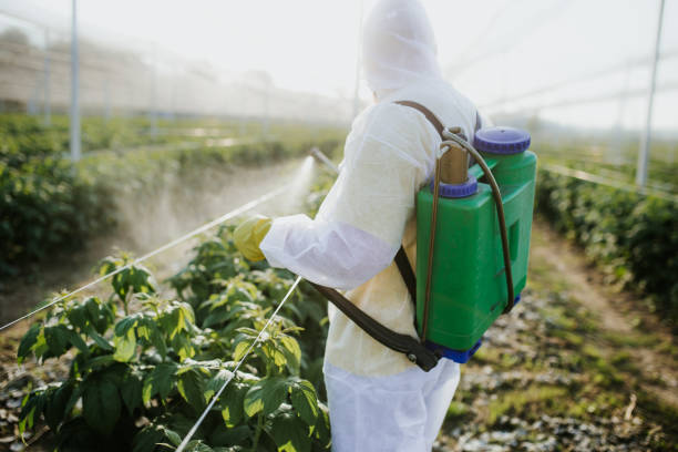Flea Control Services in Maroa, IL
